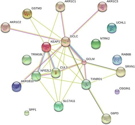 https://cdn.ncbi.nlm.nih.gov/pmc/blobs/c635/5756380/179a302081a8/12885_2017_3907_Fig7_HTML.jpg