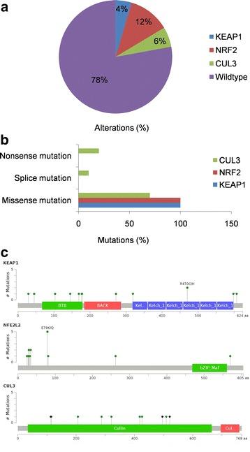 https://cdn.ncbi.nlm.nih.gov/pmc/blobs/c635/5756380/32d487a458c3/12885_2017_3907_Fig2_HTML.jpg