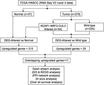 https://cdn.ncbi.nlm.nih.gov/pmc/blobs/c635/5756380/f34fa182e316/12885_2017_3907_Fig1_HTML.jpg
