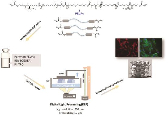 https://cdn.ncbi.nlm.nih.gov/pmc/blobs/c636/11481055/7c08f9a278ca/ADHM-12-2202648-g005.jpg