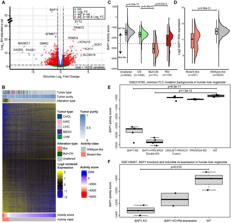 https://cdn.ncbi.nlm.nih.gov/pmc/blobs/c636/11567159/1db63ac5a679/zcae045fig3.jpg