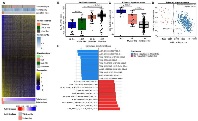 https://cdn.ncbi.nlm.nih.gov/pmc/blobs/c636/11567159/fe68f19dd413/zcae045fig4.jpg