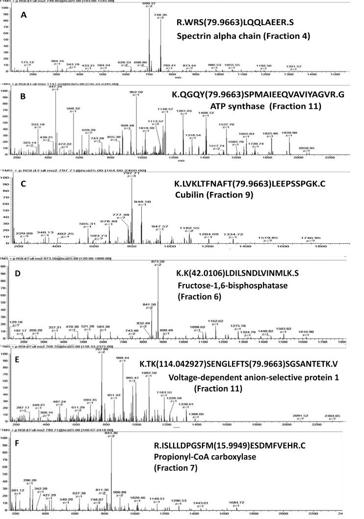 https://cdn.ncbi.nlm.nih.gov/pmc/blobs/c637/3993965/0ef1dc37ab48/pr-2013-01122m_0009.jpg