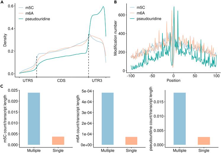 https://cdn.ncbi.nlm.nih.gov/pmc/blobs/c638/10492216/73b60a142ac7/gr6.jpg