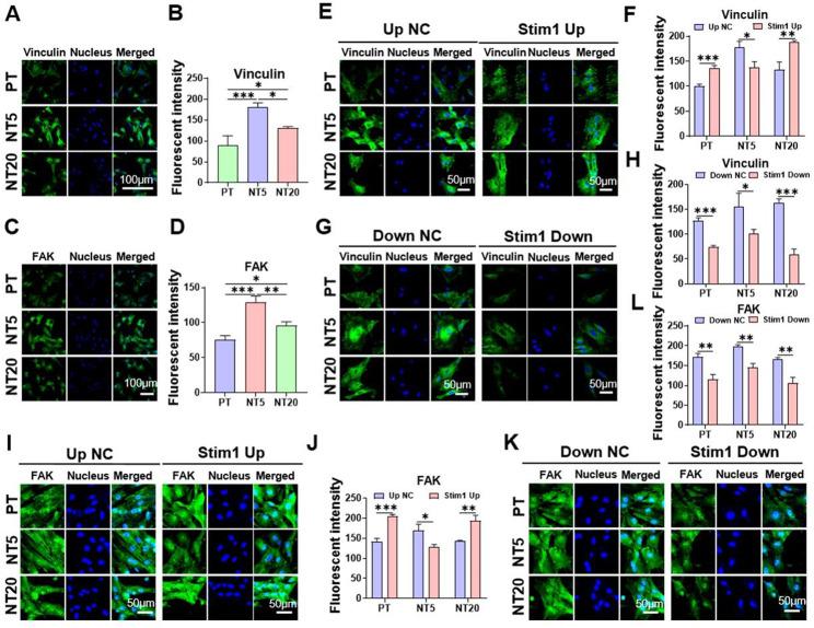 https://cdn.ncbi.nlm.nih.gov/pmc/blobs/c638/10704632/0a309ad12890/12951_2023_2249_Fig4_HTML.jpg