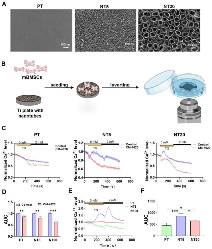 https://cdn.ncbi.nlm.nih.gov/pmc/blobs/c638/10704632/e079942b3c2a/12951_2023_2249_Fig1_HTML.jpg