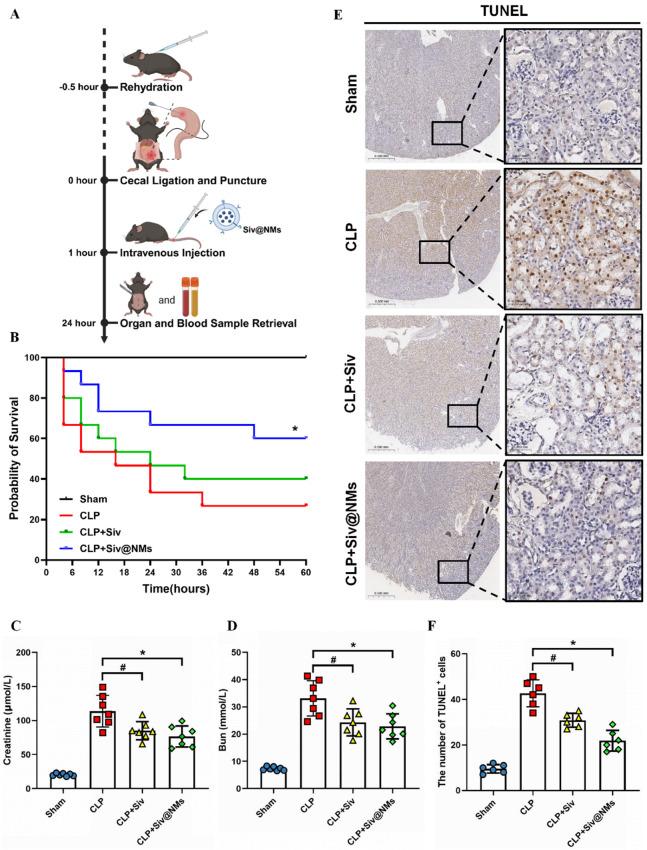 https://cdn.ncbi.nlm.nih.gov/pmc/blobs/c638/12196302/133c7cd8752c/pharmaceutics-17-00766-g003.jpg