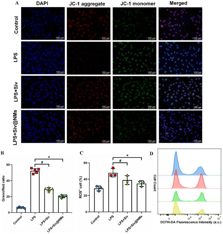 https://cdn.ncbi.nlm.nih.gov/pmc/blobs/c638/12196302/5ed6d93fb508/pharmaceutics-17-00766-g006.jpg