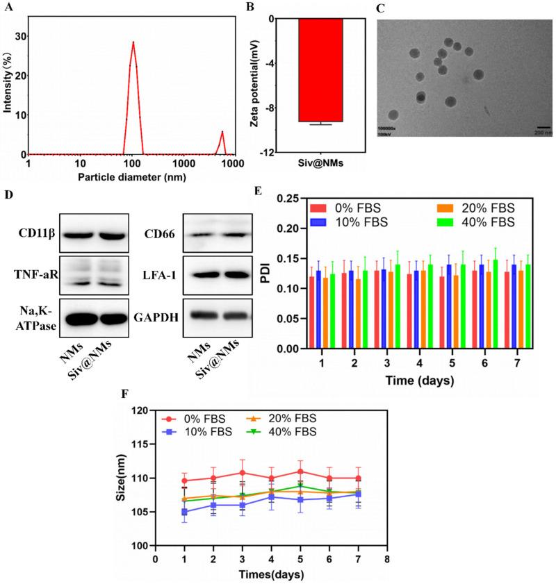 https://cdn.ncbi.nlm.nih.gov/pmc/blobs/c638/12196302/f6bcebd41136/pharmaceutics-17-00766-g001.jpg