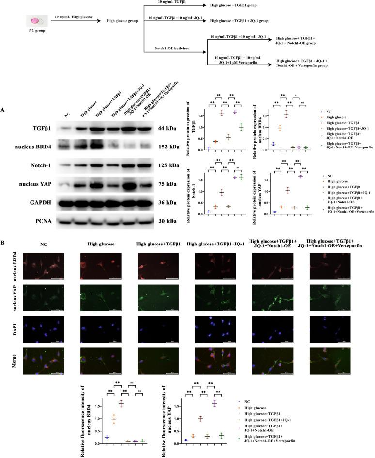 https://cdn.ncbi.nlm.nih.gov/pmc/blobs/c63a/12256632/383b47763c1b/41598_2025_10143_Fig2_HTML.jpg