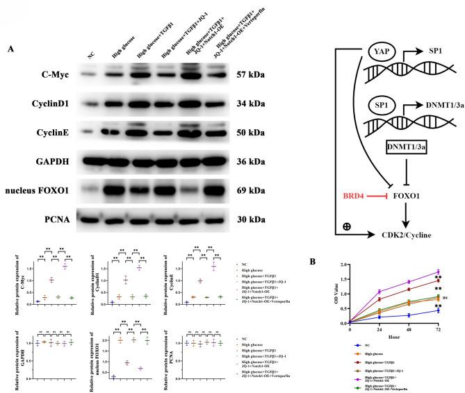 https://cdn.ncbi.nlm.nih.gov/pmc/blobs/c63a/12256632/bcd9fc3df1cc/41598_2025_10143_Fig4_HTML.jpg