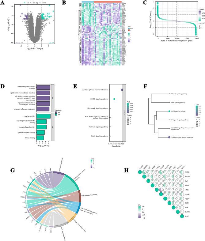 https://cdn.ncbi.nlm.nih.gov/pmc/blobs/c63a/12256632/c62eab712fd1/41598_2025_10143_Fig1_HTML.jpg