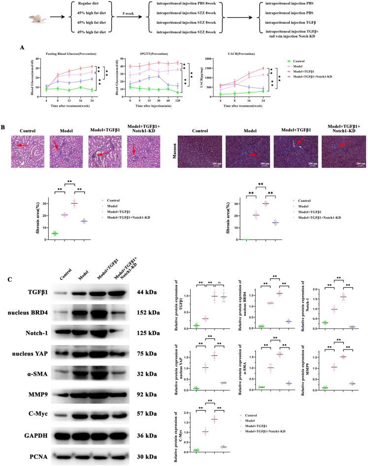 https://cdn.ncbi.nlm.nih.gov/pmc/blobs/c63a/12256632/db4b36c501b4/41598_2025_10143_Fig5_HTML.jpg