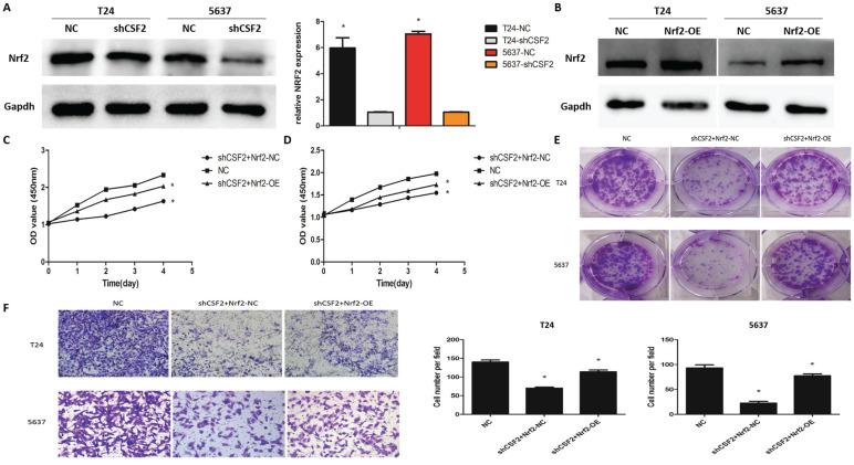 https://cdn.ncbi.nlm.nih.gov/pmc/blobs/c63d/11134447/971bbef230a2/jcav15p3242g005.jpg