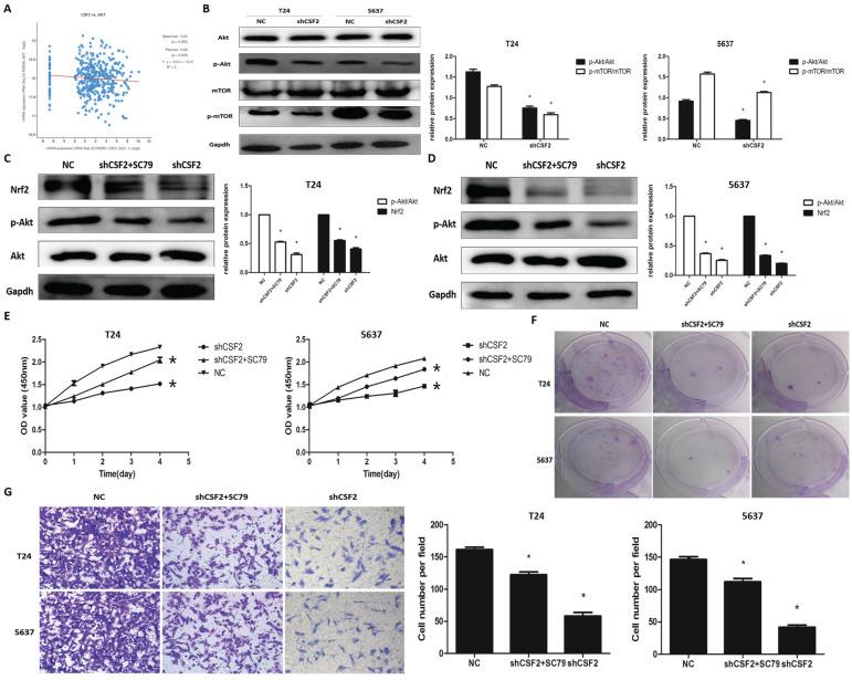 https://cdn.ncbi.nlm.nih.gov/pmc/blobs/c63d/11134447/eda8111c22cb/jcav15p3242g006.jpg
