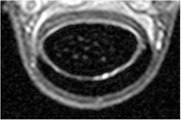 https://cdn.ncbi.nlm.nih.gov/pmc/blobs/c63d/12279136/f34f205129cd/pone.0327880.g006.jpg