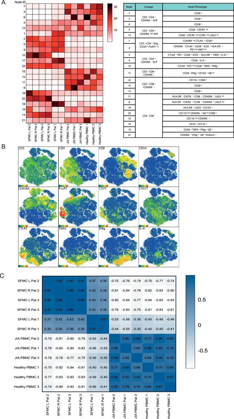 https://cdn.ncbi.nlm.nih.gov/pmc/blobs/c63e/9995115/3c0456a948ba/elife-79016-fig1-figsupp1.jpg