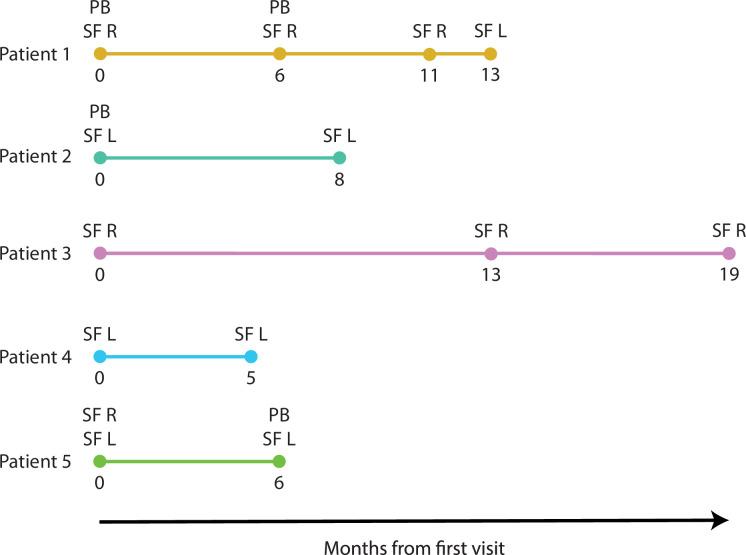 https://cdn.ncbi.nlm.nih.gov/pmc/blobs/c63e/9995115/41e9ab5d61bb/elife-79016-fig4-figsupp1.jpg
