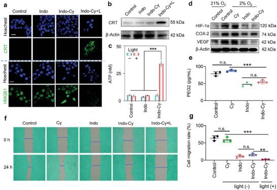 https://cdn.ncbi.nlm.nih.gov/pmc/blobs/c63f/11884606/1288c833d99d/ADVS-12-2409007-g006.jpg