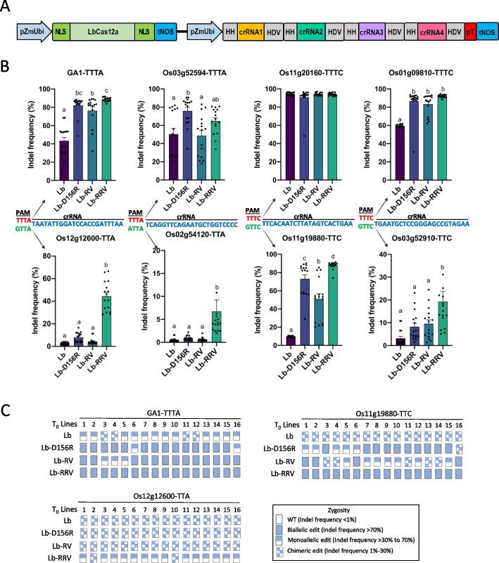 https://cdn.ncbi.nlm.nih.gov/pmc/blobs/c640/10150537/2d148a49c728/13059_2023_2929_Fig4_HTML.jpg
