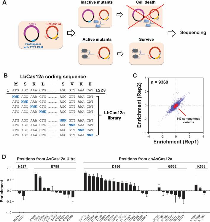 https://cdn.ncbi.nlm.nih.gov/pmc/blobs/c640/10150537/a71a1ee69021/13059_2023_2929_Fig1_HTML.jpg