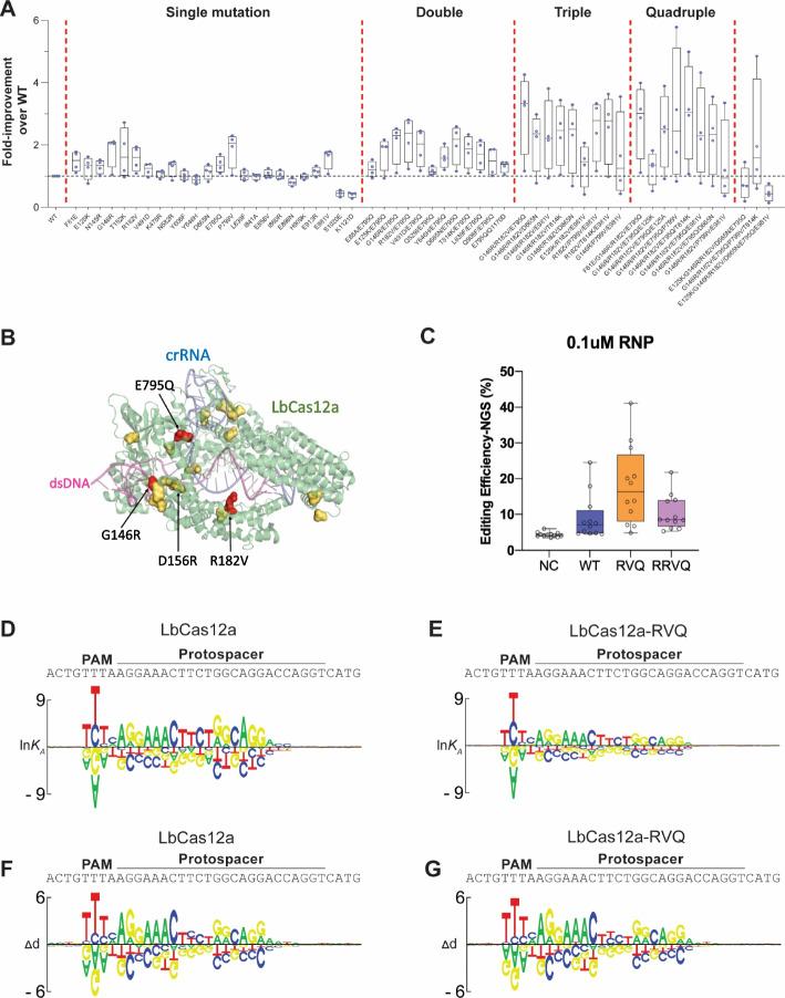 https://cdn.ncbi.nlm.nih.gov/pmc/blobs/c640/10150537/c7259bfa941d/13059_2023_2929_Fig2_HTML.jpg