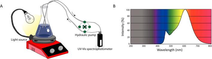 https://cdn.ncbi.nlm.nih.gov/pmc/blobs/c640/11466998/8346c14ecb06/11356_2024_34967_Fig1_HTML.jpg