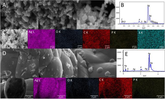 https://cdn.ncbi.nlm.nih.gov/pmc/blobs/c640/11466998/f6b4ffb67657/11356_2024_34967_Fig3_HTML.jpg