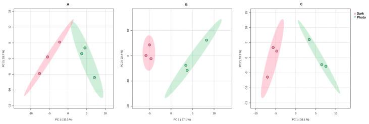 https://cdn.ncbi.nlm.nih.gov/pmc/blobs/c641/11592872/0805d2f4a485/cells-13-01845-g005.jpg