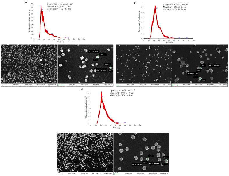 https://cdn.ncbi.nlm.nih.gov/pmc/blobs/c641/11592872/7193b4abad35/cells-13-01845-g002.jpg