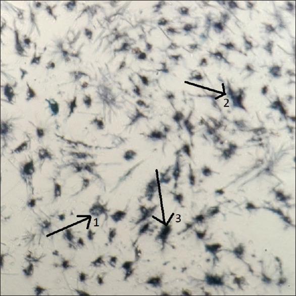 https://cdn.ncbi.nlm.nih.gov/pmc/blobs/c645/10538507/05739605b469/JISP-27-465-g009.jpg
