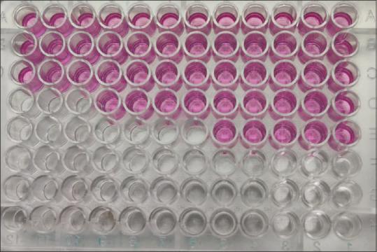 https://cdn.ncbi.nlm.nih.gov/pmc/blobs/c645/10538507/338bfa5aef04/JISP-27-465-g007.jpg
