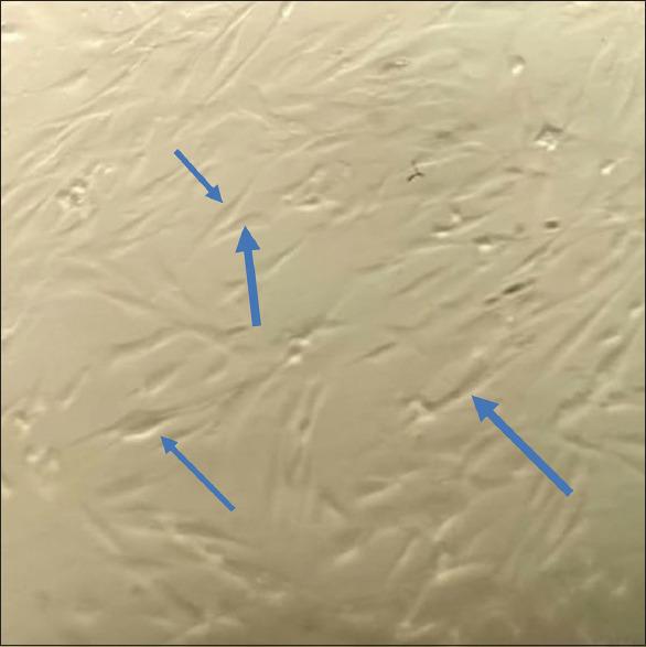 https://cdn.ncbi.nlm.nih.gov/pmc/blobs/c645/10538507/4d8cf7890924/JISP-27-465-g013.jpg