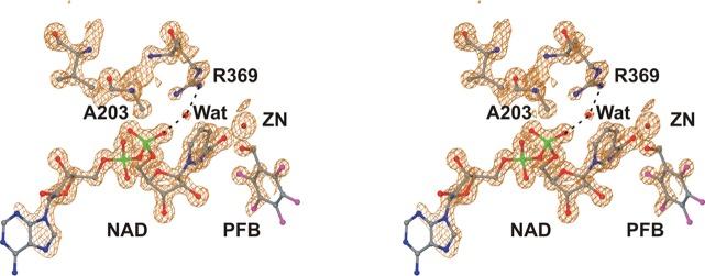 https://cdn.ncbi.nlm.nih.gov/pmc/blobs/c645/3985494/737182daf7cd/bi-2013-01583f_0003.jpg