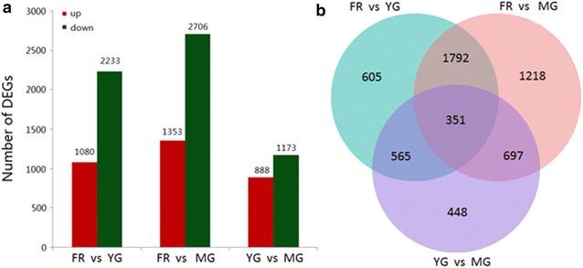 https://cdn.ncbi.nlm.nih.gov/pmc/blobs/c645/5651534/9e609def94db/40529_2017_195_Fig2_HTML.jpg