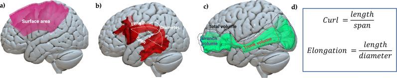 https://cdn.ncbi.nlm.nih.gov/pmc/blobs/c647/11638810/cdc4b6554b7b/jneuro-44-e0166242024-g004.jpg