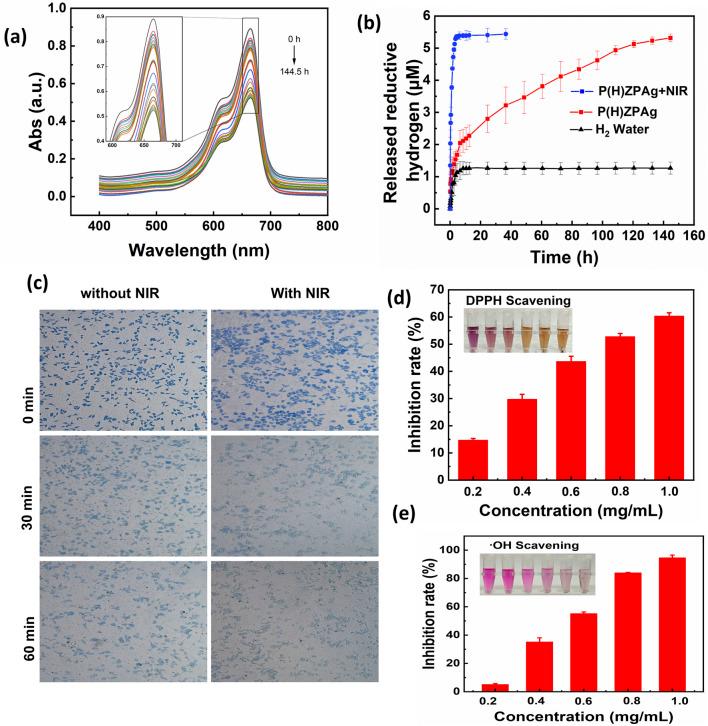 https://cdn.ncbi.nlm.nih.gov/pmc/blobs/c647/12075260/3dd13b577d55/fphar-16-1587890-g003.jpg