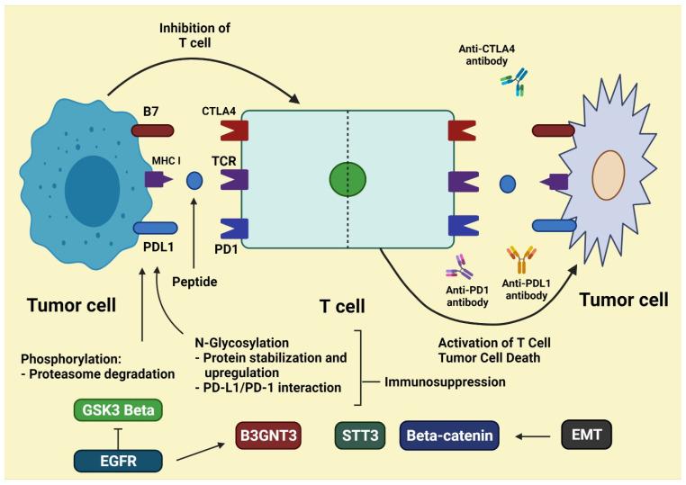 https://cdn.ncbi.nlm.nih.gov/pmc/blobs/c647/9227460/412d1b538f64/molecules-27-03798-g001.jpg