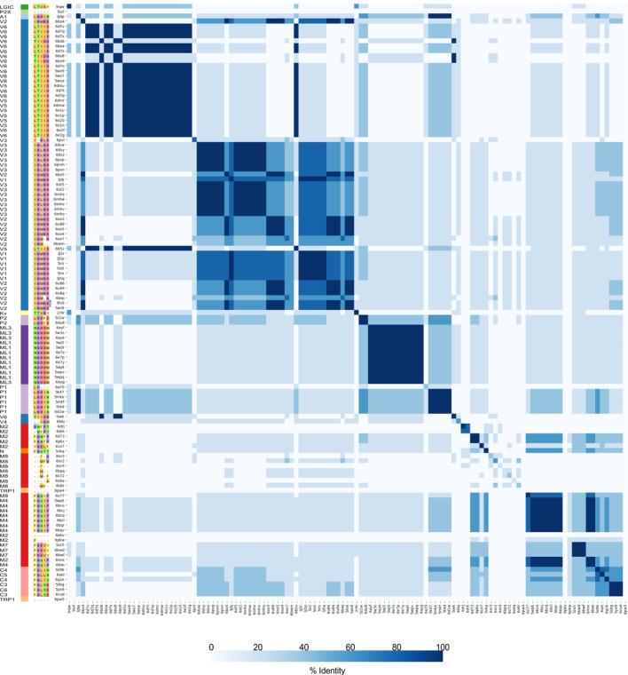 https://cdn.ncbi.nlm.nih.gov/pmc/blobs/c648/7431192/200318c68702/elife-58660-fig5-figsupp1.jpg