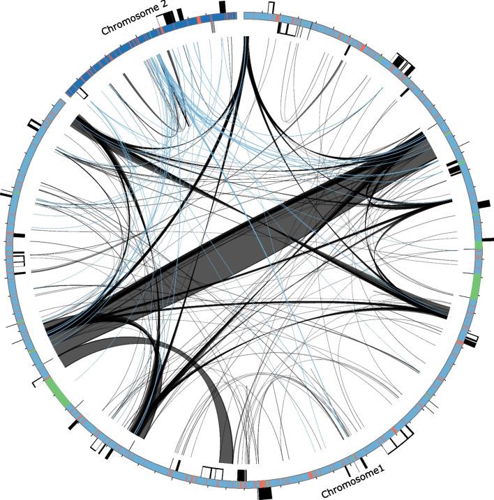 https://cdn.ncbi.nlm.nih.gov/pmc/blobs/c649/11792336/13b04f83c269/12864_2025_11230_Fig3_HTML.jpg