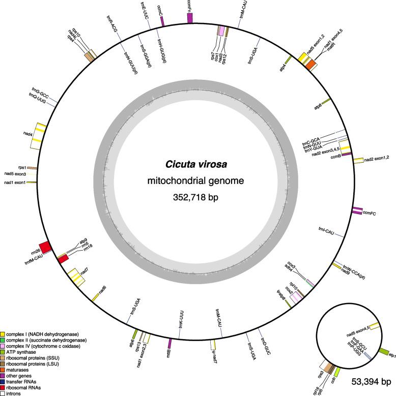 https://cdn.ncbi.nlm.nih.gov/pmc/blobs/c649/11792336/44c0f09df283/12864_2025_11230_Fig2_HTML.jpg
