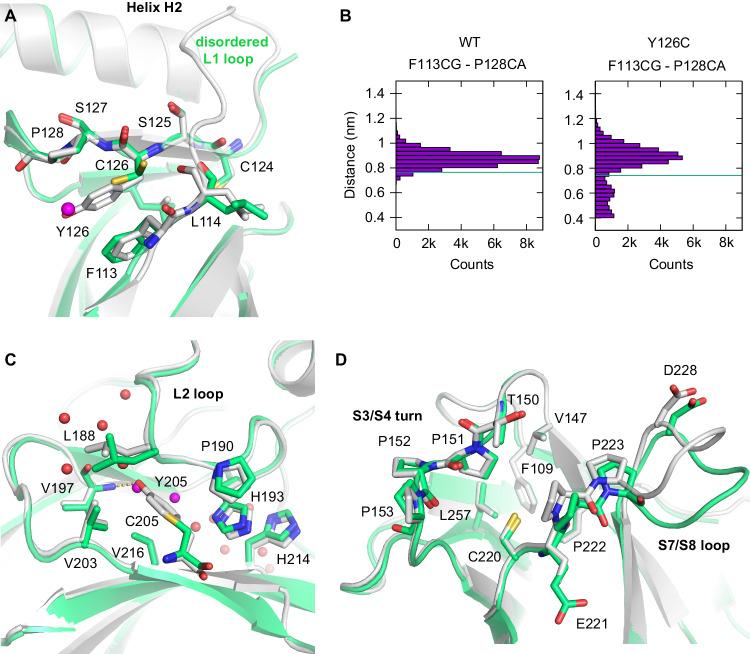 https://cdn.ncbi.nlm.nih.gov/pmc/blobs/c64b/11166945/33344cc602ee/41419_2024_6739_Fig3_HTML.jpg
