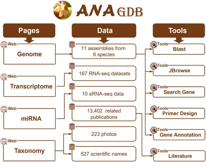 https://cdn.ncbi.nlm.nih.gov/pmc/blobs/c64b/11437788/072d30598283/12870_2024_5613_Fig1_HTML.jpg
