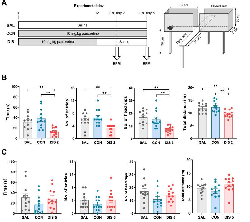 https://cdn.ncbi.nlm.nih.gov/pmc/blobs/c64c/11319583/a601f3ff2766/41386_2024_1857_Fig4_HTML.jpg