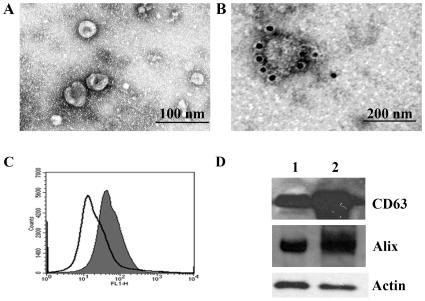 https://cdn.ncbi.nlm.nih.gov/pmc/blobs/c64c/2797607/314b46211cfe/pone.0008577.g001.jpg