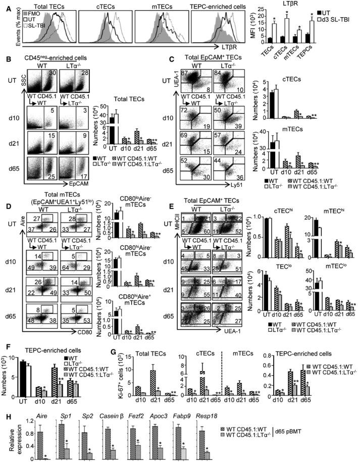 https://cdn.ncbi.nlm.nih.gov/pmc/blobs/c64e/5452038/35111c1d4e1d/EMMM-9-835-g008.jpg