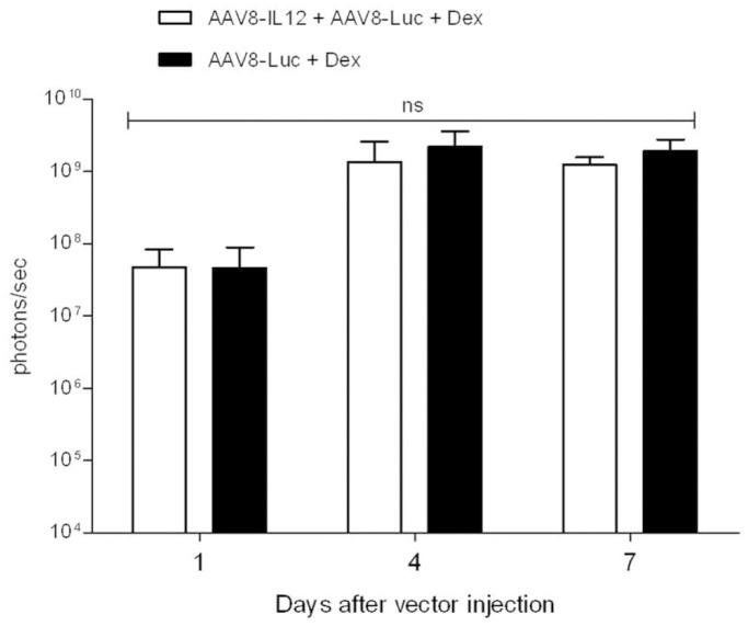 https://cdn.ncbi.nlm.nih.gov/pmc/blobs/c651/3699534/1731861da419/pone.0067748.g005.jpg