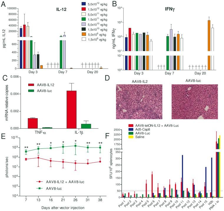 https://cdn.ncbi.nlm.nih.gov/pmc/blobs/c651/3699534/7f61001049a9/pone.0067748.g001.jpg