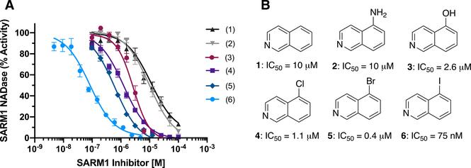 https://cdn.ncbi.nlm.nih.gov/pmc/blobs/c651/8179325/48518242b05c/nihms-1701527-f0002.jpg