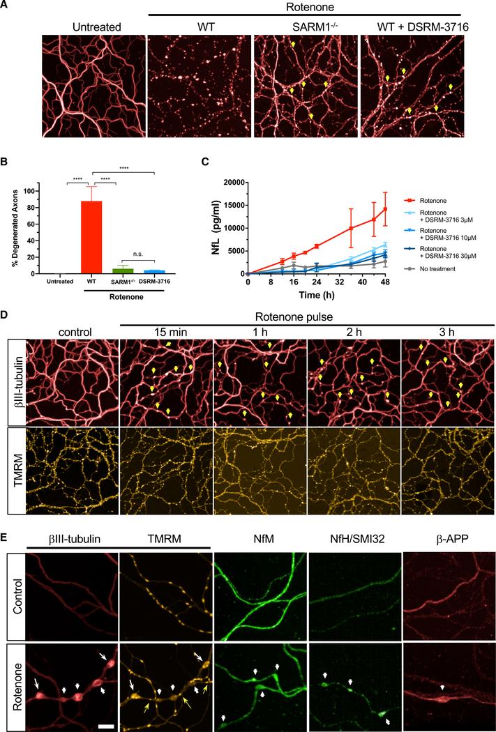 https://cdn.ncbi.nlm.nih.gov/pmc/blobs/c651/8179325/48e861c15ee0/nihms-1701527-f0006.jpg
